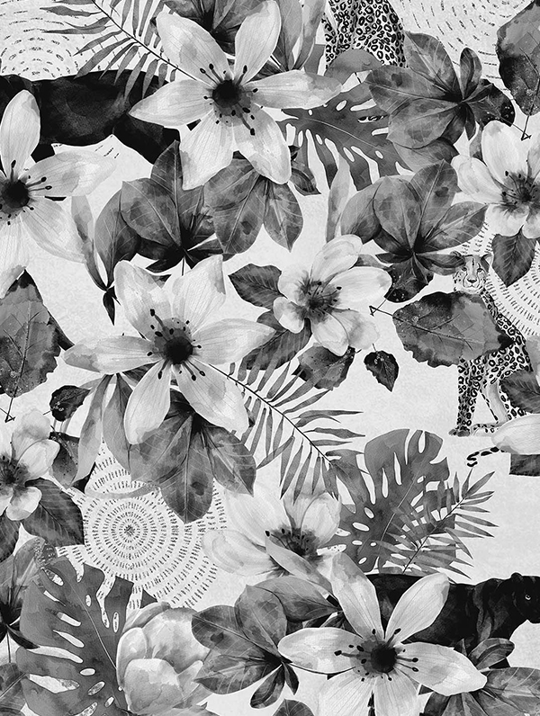 Amstel Panthera - Image 2