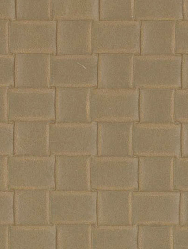 Arizona Net - Image 3